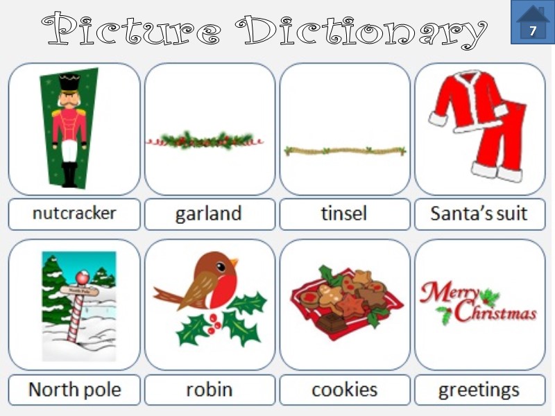 Picture Dictionary  7